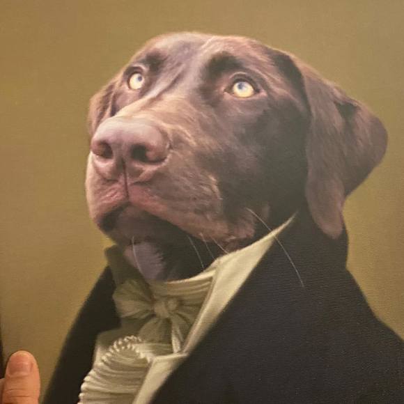 Meet your Posher, Sush - Picture 1 of 1